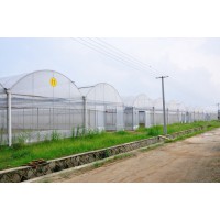 塑料薄膜溫室