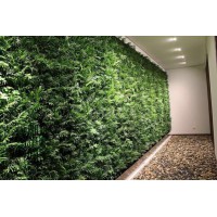 家庭園藝綠植墻體