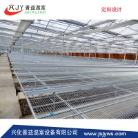 配套系統(tǒng)--移動(dòng)苗床