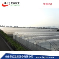 智能溫室--連棟薄膜大棚