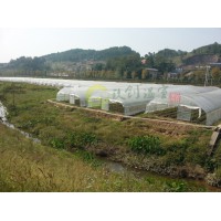 重慶蔬菜大棚
