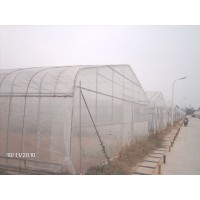 塑料薄膜溫室