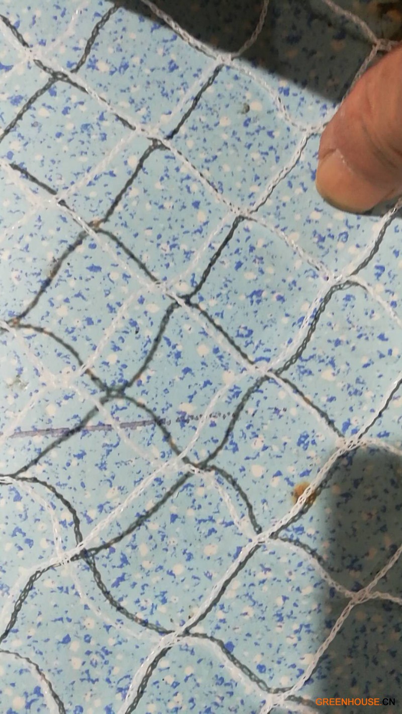 格林網2