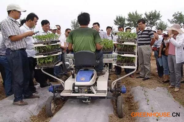 蔬菜定植機械化3