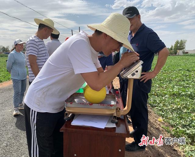 專家在現(xiàn)場(chǎng)對(duì)基地種植的甜瓜進(jìn)行測(cè)產(chǎn)