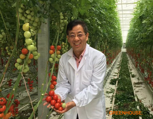 高科技溫室將在中國農產品供應中發揮更大作用 高杰 7.27496
