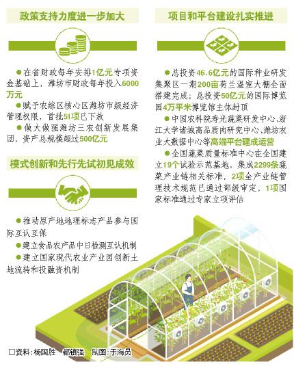 濰坊：大棚玩起高科技 農業闖出新天地