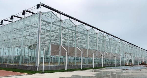 壽光阿里共同建設(shè)數(shù)字化蔬菜工廠項(xiàng)目