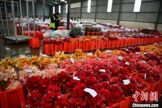 圖為昆明花拍中心(資料圖)2。 胡遠航 攝