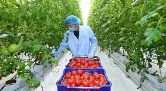 中國實行溫室自主管理 高杰 7.29-改600