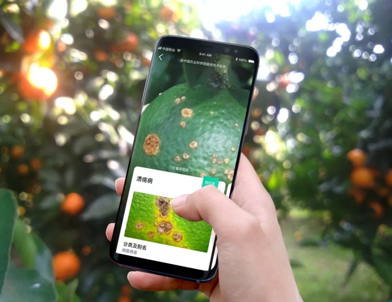人工智能識別農作物病蟲害的手機應用APP慧植農當家1.webp