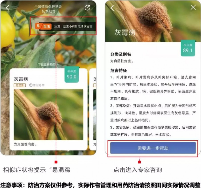 人工智能識別農作物病蟲害的手機應用APP慧植農當家3.webp