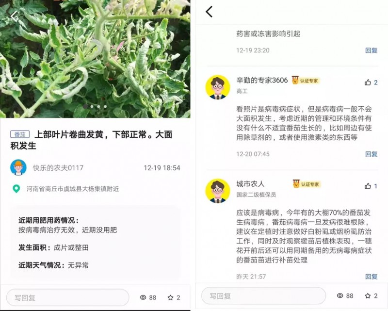 人工智能識別農作物病蟲害的手機應用APP慧植農當家4.webp