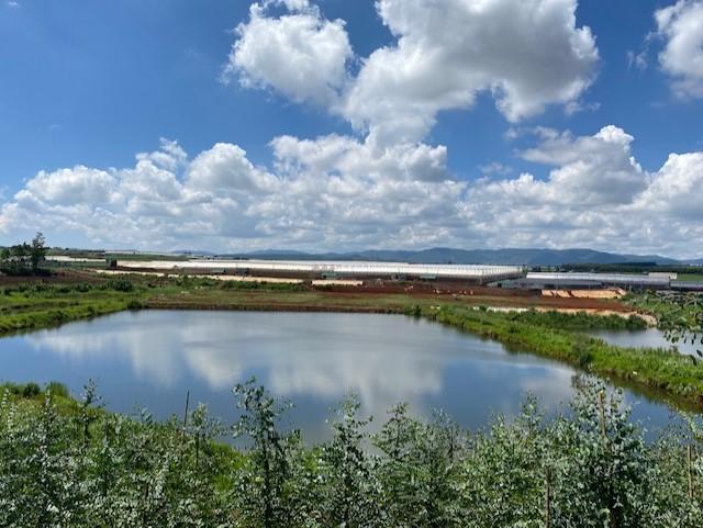 越南Dalat Hasfarm農場14公頃擴建工程即將竣工