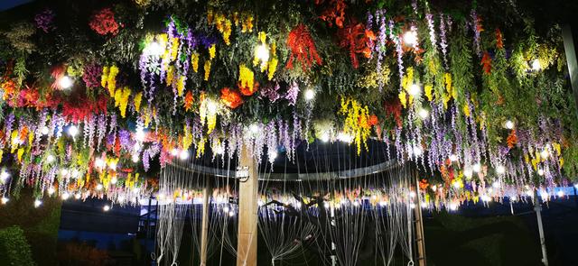 第六屆濟南花卉園藝博覽會4