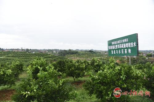資中縣鴻吉源農(nóng)業(yè)科技有限公司實(shí)施科技成果轉(zhuǎn)化 (1)