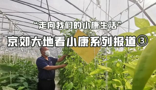 首都菜籃子裝滿科技果1