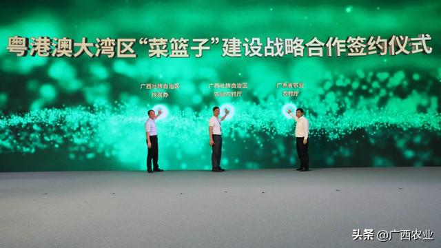 粵港澳大灣區(qū)“菜籃子”建設(shè)戰(zhàn)略合作簽約活動(dòng)現(xiàn)場(chǎng)1