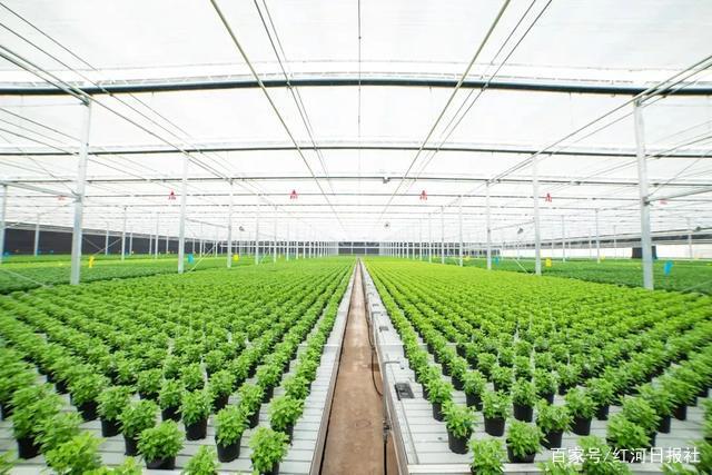 云南省開遠農業科技園區
