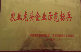 圖片 13