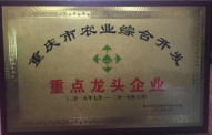 圖片 19