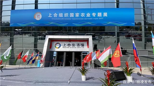 9、上合生活館