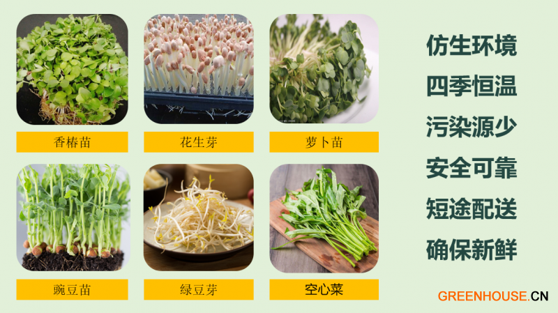 微信截圖_20201225154513
