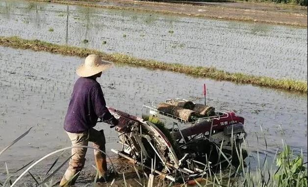 湖北首家智能農機裝備創(chuàng)新中心獲批1