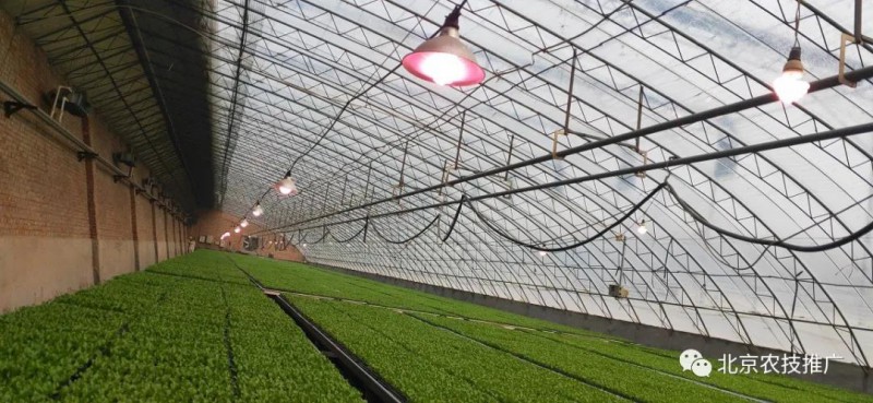 5.植物生長專用補光燈應用場景