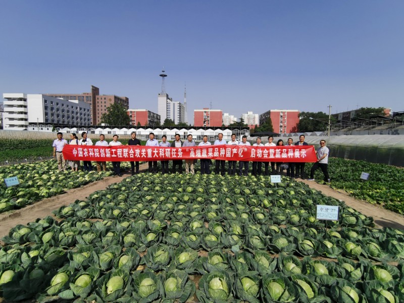 “高端蔬菜品種國產(chǎn)化”重大任務(wù)在京啟動，與會人員觀摩新育成的一批優(yōu)質(zhì)蔬菜新品種