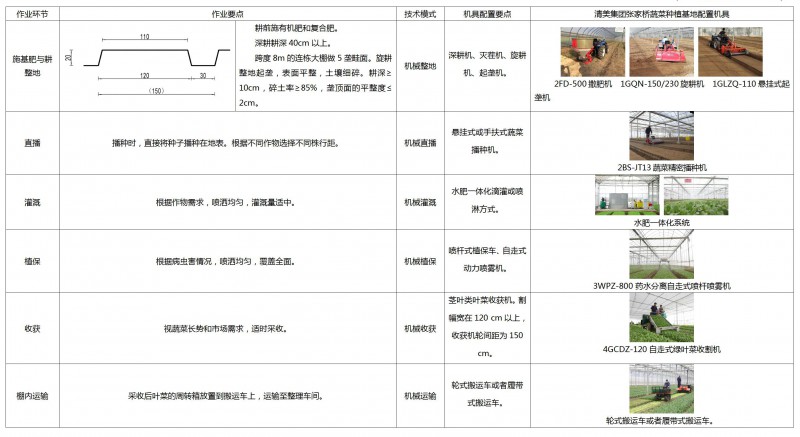 上海設施莖葉類蔬菜機械化生產模式與典型案例_01_副本