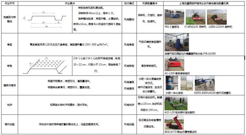 2.上海設施中棵