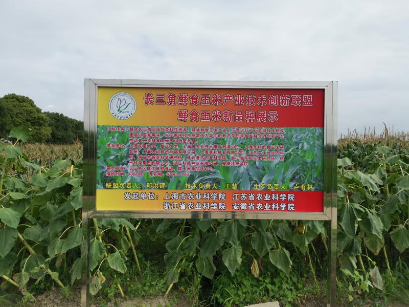 長三角鄉(xiāng)村振興研究院打造協(xié)同創(chuàng)新平臺2