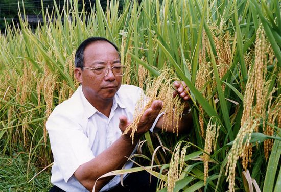 中國科學院院士、植物遺傳育種學家謝華安