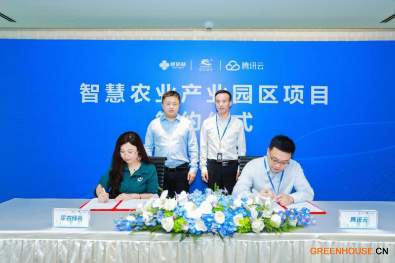 新格林與騰訊云開啟戰略合作1