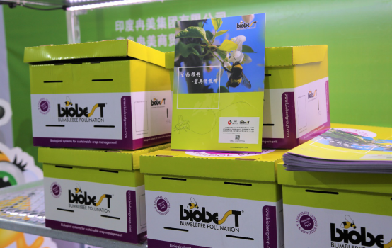 青島園藝蔬果會通稿887