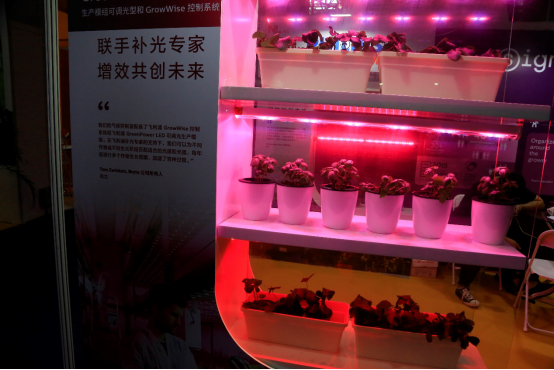 青島園藝蔬果會通稿901