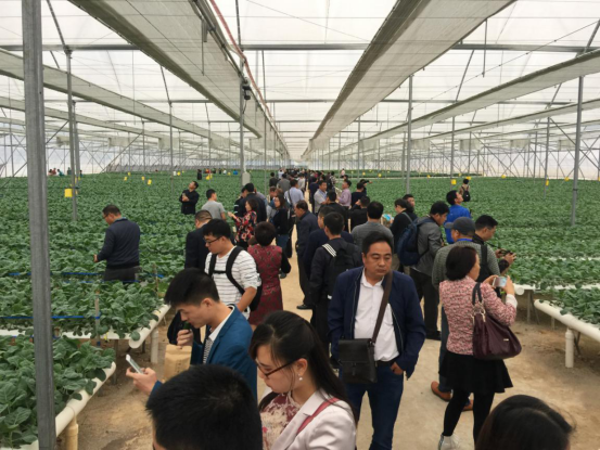 中國溫室年會20年足跡7173