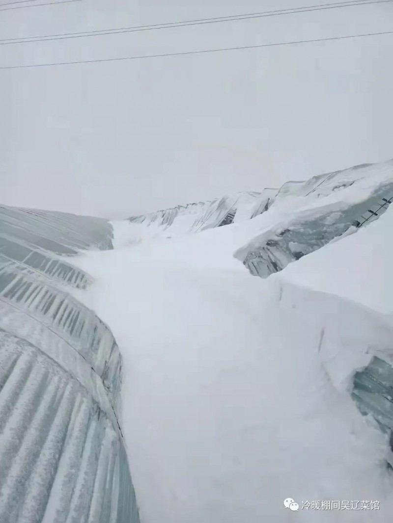 2021年11月6日以來，遼寧省出現了歷史同期極罕見的冰凍雨雪、大風寒潮天氣，普降大到暴雪1