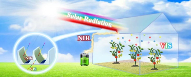 中國農業科學院農業環境與可持續發展研究所設施植物環境工程創新團隊基于太陽能光譜分頻利用原則,提出了一種新型溫室覆蓋結構,實現了溫室太陽能的高效利用