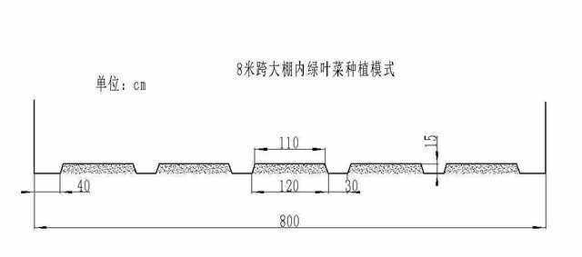 1.南方設施綠葉類蔬菜標準化種植模式