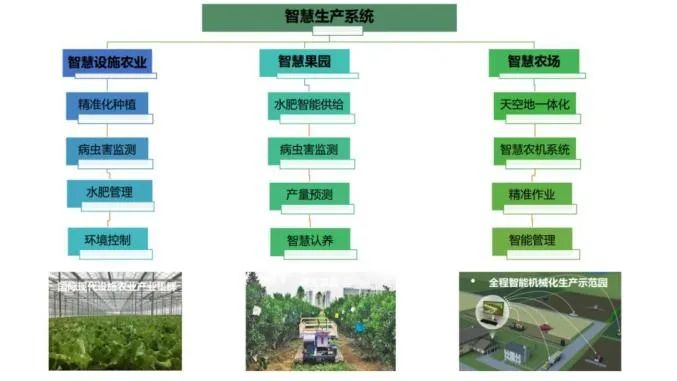 洛陽農(nóng)發(fā)集團傾力打造百畝無土種植智能溫室8