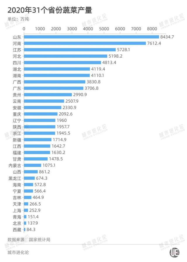 2020年31個省份蔬菜產量