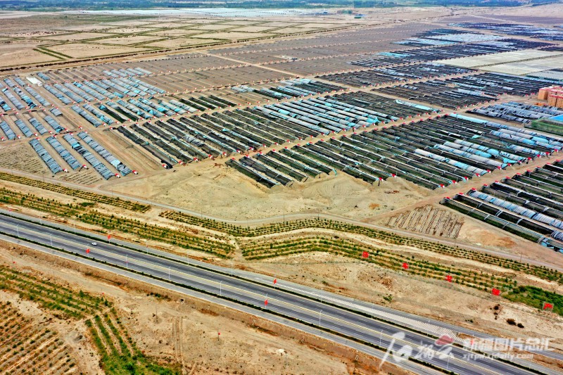 莎車縣戈壁產(chǎn)業(yè)園里，3000座溫室大棚成為荒灘上最具活力的地方。天山網(wǎng)-新疆日?qǐng)?bào)記者 蔡增樂 攝