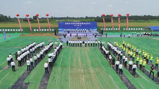 海通定興現代智慧設施農業項目開工現場。 張曾良攝