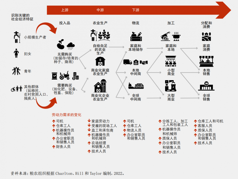 從農業糧食體系的視角看自動化對就業的影響。©糧農組織 《2022年糧食及農業狀況》報告