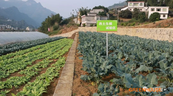 珙縣7