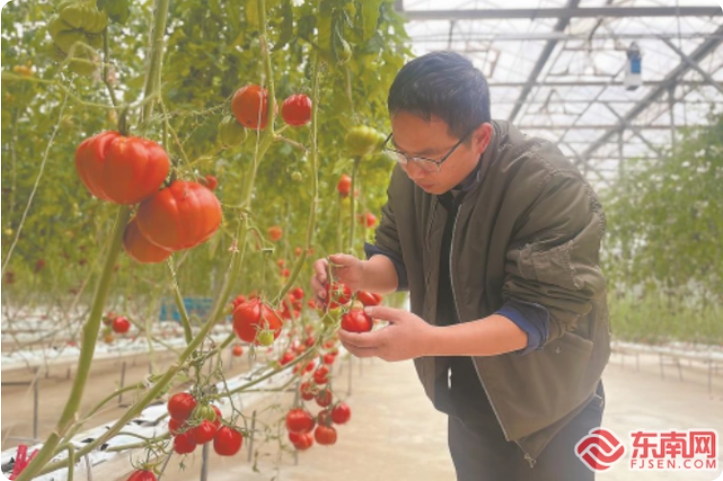 福建：“智慧”賦能蔬菜種植1