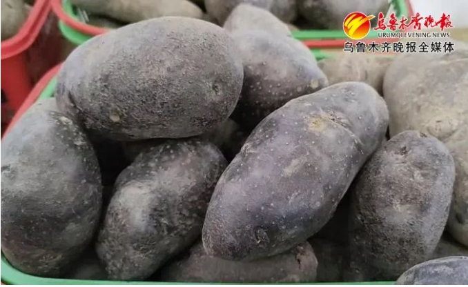 黑土豆