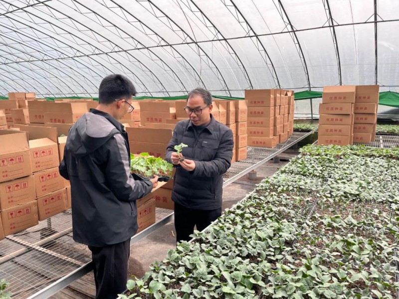 李勝利團隊到臨潁縣開展技術指導1